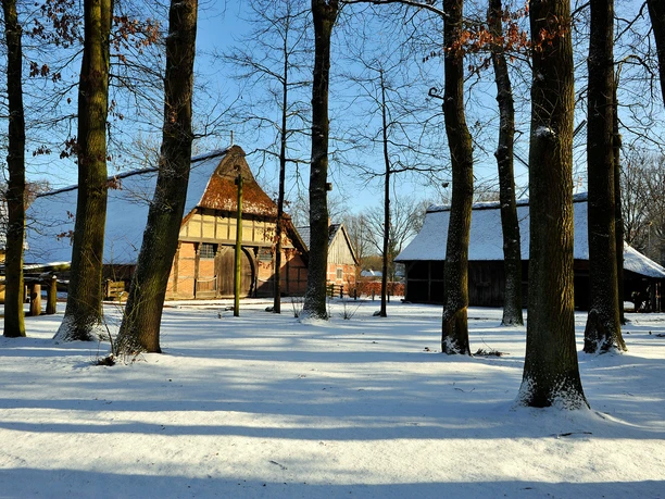 schnee-bauernhaus Historisches Bauernhaus mit Reetdach im Schnee zwischen winterlichen Bäumen und blauem Himmel