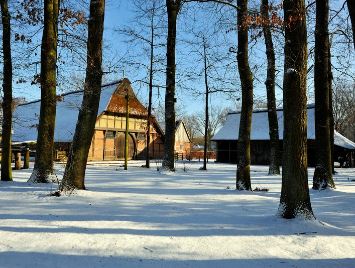schnee-bauernhaus Historisches Bauernhaus mit Reetdach im Schnee zwischen winterlichen Bäumen und blauem Himmel