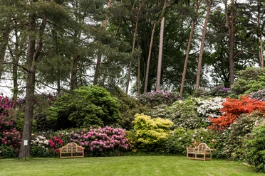 parks-rhododendronpark-westerstede