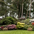 parks-rhododendronpark-westerstede