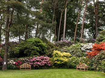 parks-rhododendronpark-westerstede