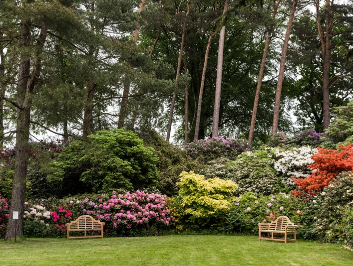 parks-rhododendronpark-westerstede