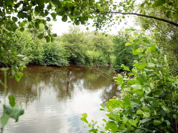 Goldfischteiche Juist