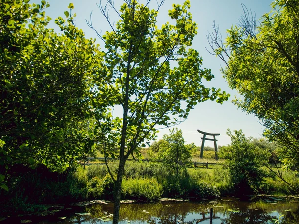 goldfischteich-fruehling-juist Goldfischteiche Juist