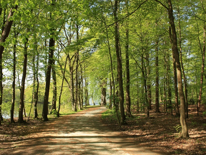 09-04-20_006-schlosspark-s-kalbfleisch