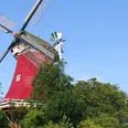Zwillingsmühle Greetsiel - Rote Mühle Zu sehen ist die rote Greetsieler Zwillingsmühle.
