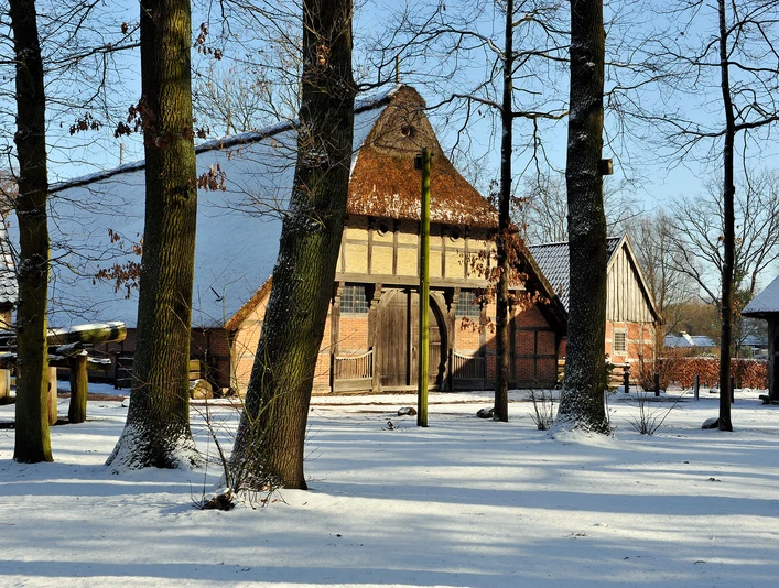 freilichtmuseum-schnee Historische Fachwerkhäuser des Freilichtmuseums Bad Zwischenahn im Schnee, umgeben von Bäumen bei Wintersonne.
