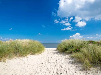 Schillig-Wangerland-Strand.jpg