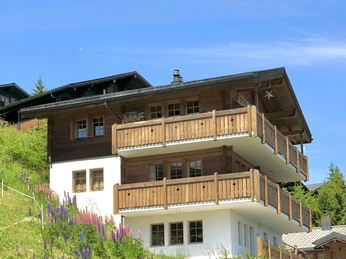 Chalet Sirius Bettmeralp