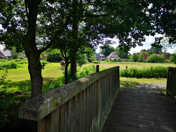 Oll Wiek, Sommer, Landschaftspfad, Rhauderfehn, Ostfriesland Holzbrücke führt zu einer grünen Wiese mit Bäumen und einem grasenden Pferd, im Hintergrund Häuser