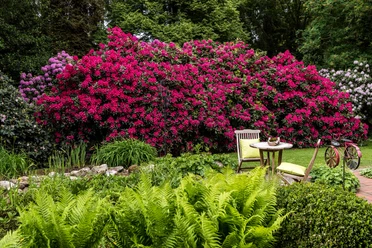 garten-zu-jeddeloh-edewecht-2