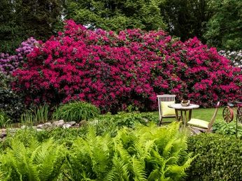 garten-zu-jeddeloh-edewecht-2