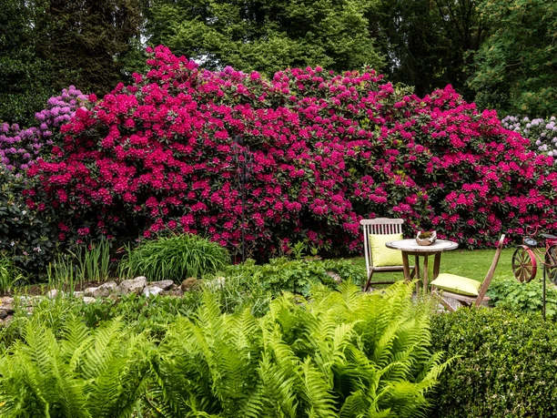 garten-zu-jeddeloh-edewecht-2