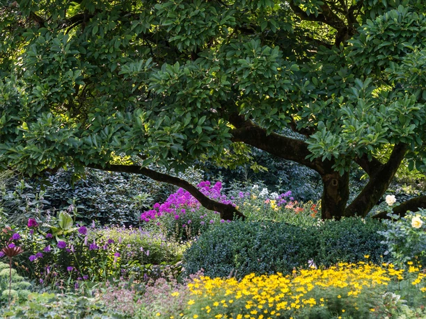 garten-zu-jeddeloh-edewecht-3