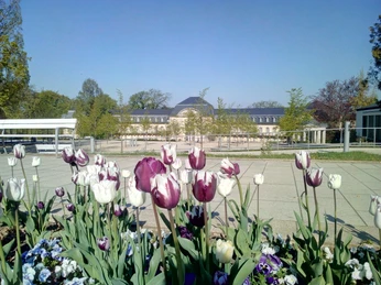 Kurpromenade mit Blick auf Esplanade