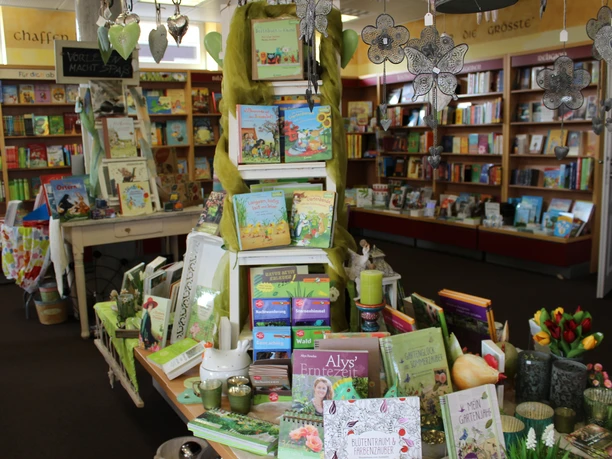 Fehnbuch_Erholungsort Rhauderfehn Bücherregale im Bücherladen mit einer Vielzahl von bunten Büchern, die ordentlich nebeneinander stehen.