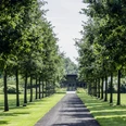 Die Allee, flankiert von symmetrisch gepflanzten Bäumen, führt zu einem elegantem Parkpavillon.