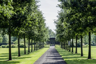 Allee zum Parkpavillion Die Allee, flankiert von symmetrisch gepflanzten Bäumen, führt zu einem elegantem Parkpavillon.