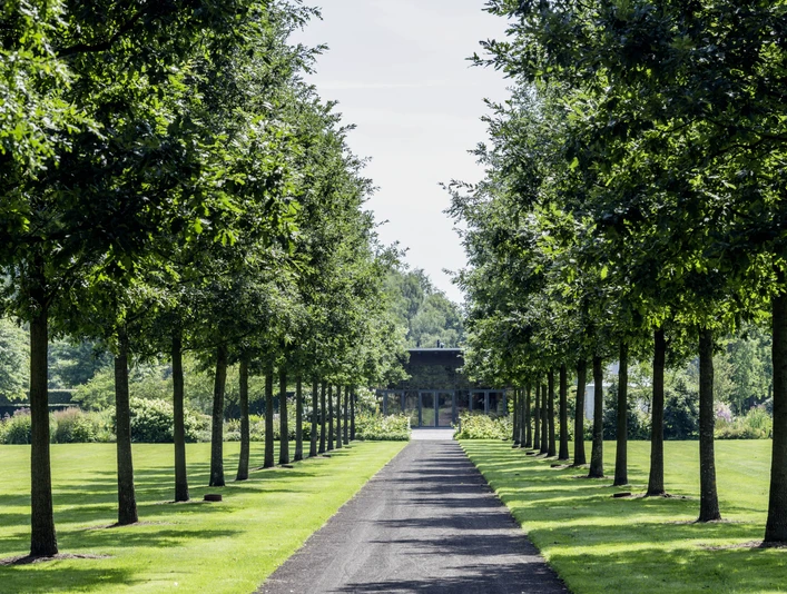 Allee zum Parkpavillion Die Allee, flankiert von symmetrisch gepflanzten Bäumen, führt zu einem elegantem Parkpavillon.
