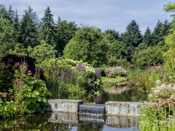 Teichanlage Das Bild zeigt eine idyllische Teichanlage eingebettet in eine üppige Vegetation mit blühenden Pflanzen und einem kleinen Wasserfall.