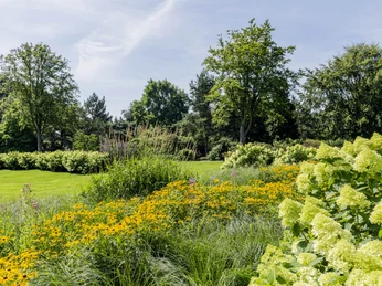 Parkanlage Eine blühende Parkanlage mit üppigen, gelben Blumenbeeten vor einem Hintergrund aus hohen Bäumen.