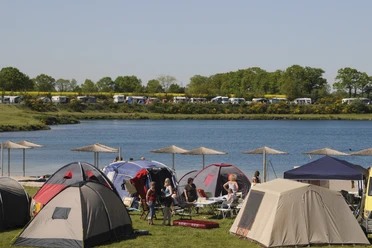 Camping am Bernsteinsee Am Ufer eines Sees stehen zahlreiche bunte Zelte. Menschen sitzen entspannt zusammen.