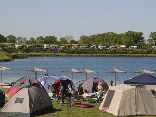 Camping am Bernsteinsee Am Ufer eines Sees stehen zahlreiche bunte Zelte. Menschen sitzen entspannt zusammen.