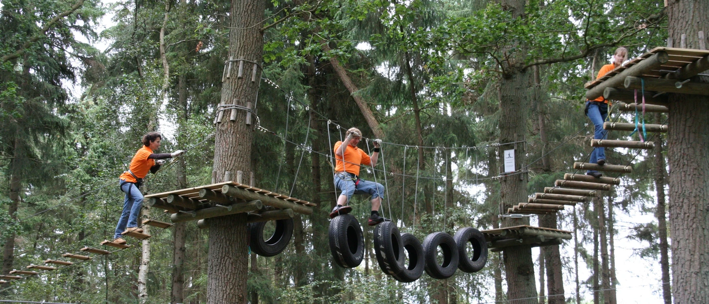 Kletterwald Menschen klettern in einem Wald auf spannenden Seilkonstruktionen und genießen ein Abenteuer.