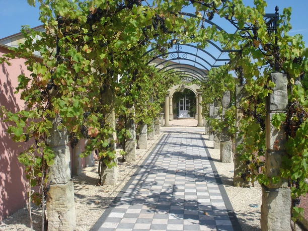 Natursteingarten Dubiel Ein lauschiger Weg unter einer Pergola aus Weinreben, mit elegant gefliesten Steinplatten und Sonnenlicht.