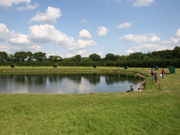 Almsee Auf dem Bild "Almsee" ist ein ruhiger See zu erkennen, umgeben von grünen Wiesen und Bäumen. Einige Menschen spazieren am Ufer entlang und genießen die Natur. Der Himmel ist klar mit ein paar vereinzelten Wolken.
