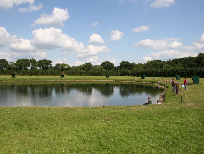 Almsee Auf dem Bild "Almsee" ist ein ruhiger See zu erkennen, umgeben von grünen Wiesen und Bäumen. Einige Menschen spazieren am Ufer entlang und genießen die Natur. Der Himmel ist klar mit ein paar vereinzelten Wolken.