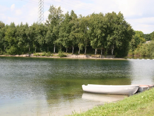 Almsee Ein ruhiger See, umgeben von grünen Bäumen, mit einem kleinen Boot am Ufer unter blauem Himmel.