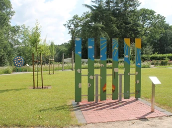 Kolpingwiese Bokeloh