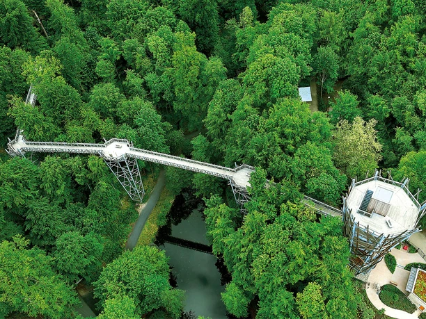 Baumwipfelpfad Bad Iburg Treetop trail above dense, green forest with viewing tower and wooden walkways.