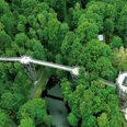 Boomkroonpad Bad Iburg in Duitsland Op het boomkroonpad in Bad Iburg (Duitsland) kun je op bijna 30 meter hoogte door het bos wandelenBaumwipfelpfad über dichtem, grünen Wald mit Aussichtsturm und Holzstege.Treetop trail above dense, green forest with viewing tower and wooden walkways.Vandring i trætoppene over tæt, grøn skov med udsigtstårn og gangbroer af træ.