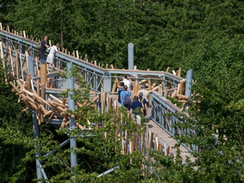 Baumwipfelpfad Bad Iburg Menschen spazieren auf einem Holzsteg, umgeben von dichtem Laubwerk.People stroll along a wooden walkway, surrounded by dense foliage.Folk slentrer langs en gangbro af træ, omgivet af tæt løv.Mensen wandelen over een houten wandelpad, omgeven door dicht gebladerte.