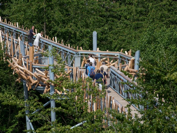 Baumwipfelpfad Bad Iburg People stroll along a wooden walkway, surrounded by dense foliage.