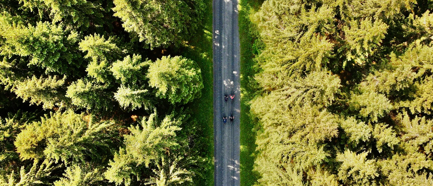 Schöneck_Im Vogtöand mit dem Bike©Fravely.jpeg Drei Radfahrer fahren auf einem schmalen Waldweg zwischen hohen Bäumen.