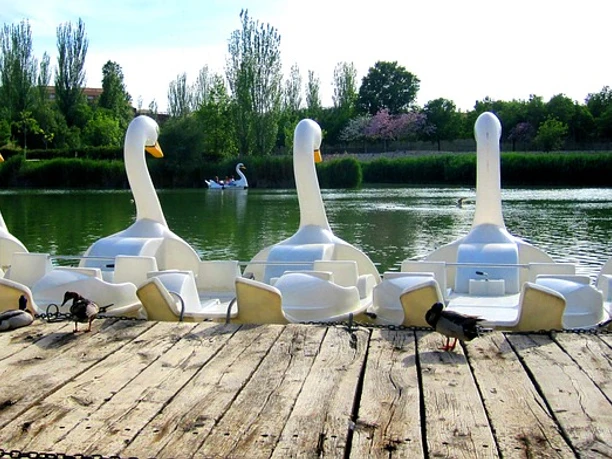 Tret- und Ruderbootfahren auf dem Hangeweiher in Aachen Hinter einem Holzsteg, auf dem drei Enten sitzen, stehen mehrere Tretboote in Form von Schwänen auf einem kleinen See.