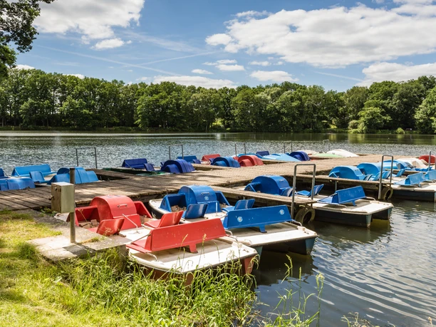 Treet boten op het Lopausee meer