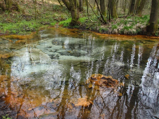 Schwindequelle Klares Wasser fließt aus dem Boden. Du siehst Blasen aufsteigen. Rundherum wachsen grüne Pflanzen und Bäume. Der Boden ist nass und schimmert orange und grau. Das Licht spiegelt sich auf dem Wasser. Es ist ruhig und natürlich. die Schwindequelle