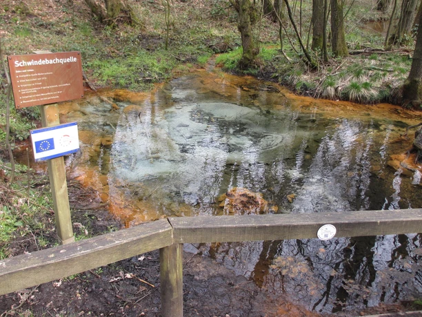 Schwindequelle Kleine Quelle im Wald, deren klares Wasser aus dem Boden sprudelt und sich mit orangebraunen Eisenablagerungen vermischt. Ein hölzerner Zaun schützt den Quellbereich, daneben steht ein Hinweisschild, umgeben von feuchtem Laub und Bäumen in natürlicher Umgebung.