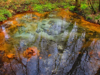 Schwindequelle Klares Wasser steigt aus der Erde auf. Du siehst bunte Ablagerungen in Orange und Grün am Rand der Quelle im Wald.