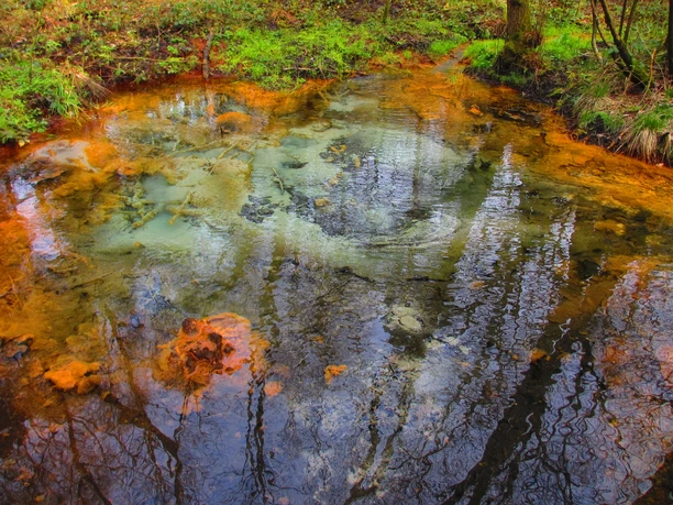 Schwindequelle Klares Wasser steigt aus der Erde auf. Du siehst bunte Ablagerungen in Orange und Grün am Rand der Quelle im Wald.