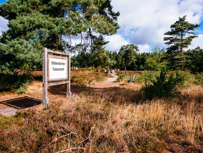 Oldendorfer Totenstatt