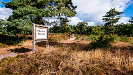 Oldendorfer Totenstatt Holzschild mit Text „Oldendorfer Totenstatt“ am Weg durch Heide und Bäume. Im Hintergrund liegen große Steine. Der Himmel ist blau mit Wolken. Alte Gräber erinnern an die Steinzeit. Ein historischer Ort in der Natur.