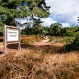 Oldendorfer Totenstatt Holzschild mit Text „Oldendorfer Totenstatt“ am Weg durch Heide und Bäume. Im Hintergrund liegen große Steine. Der Himmel ist blau mit Wolken. Alte Gräber erinnern an die Steinzeit. Ein historischer Ort in der Natur.