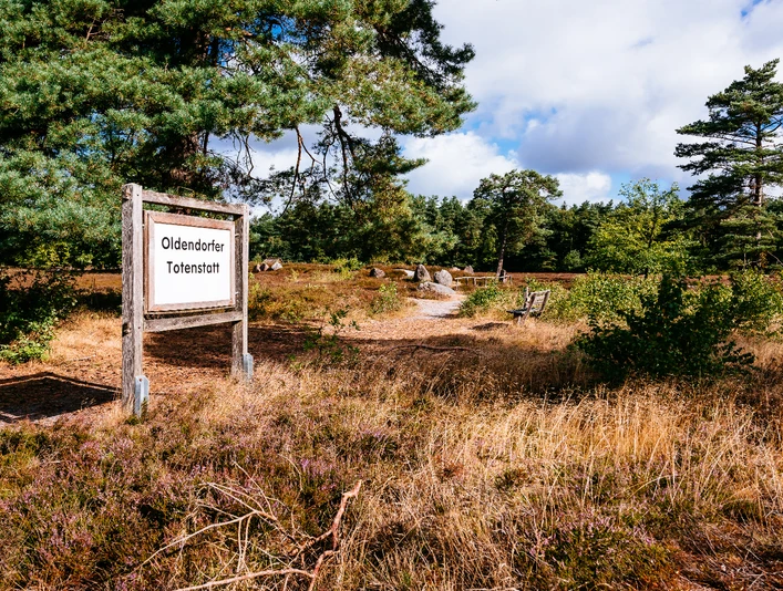 Oldendorfer Totenstatt Holzschild mit Text „Oldendorfer Totenstatt“ am Weg durch Heide und Bäume. Im Hintergrund liegen große Steine. Der Himmel ist blau mit Wolken. Alte Gräber erinnern an die Steinzeit. Ein historischer Ort in der Natur.