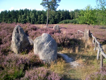 Grabanlagen Oldendorfer Totenstatt