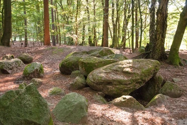 Steingrab Große, moosbedeckte Findlinge eines historischen Steingrabes liegen in einem sonnigen Waldstück.